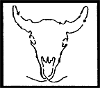 Zaczony obrazek