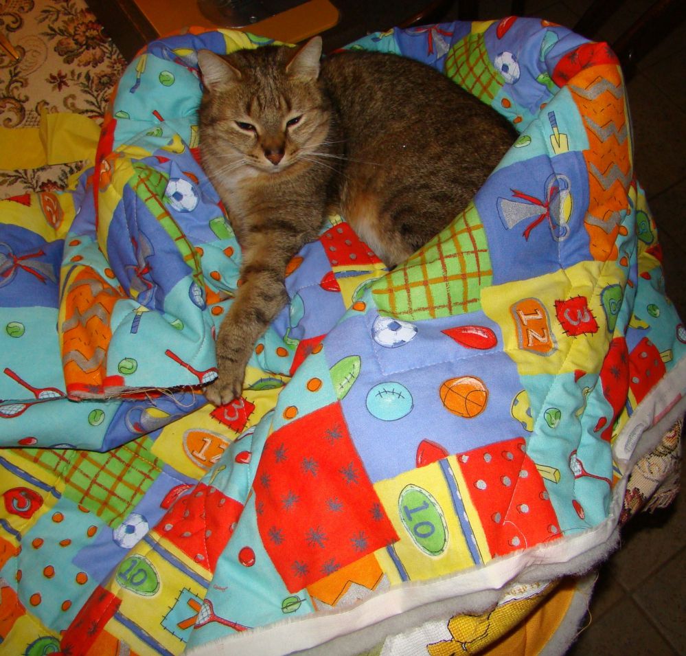 Zaczony obrazek