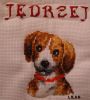 DSC04443.jpg