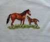 DSC04917.JPG