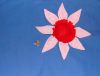 DSC05263.JPG