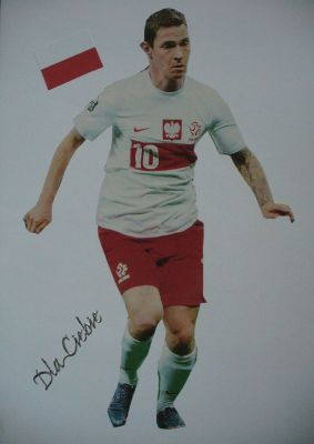 Kliknij aby zobaczy peny rozmiar