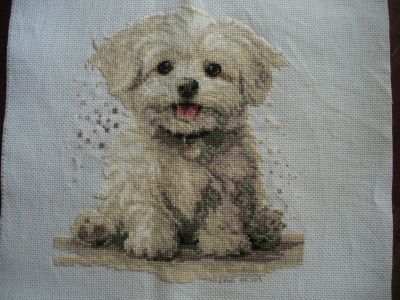 Kliknij aby zobaczy� pe�ny rozmiar