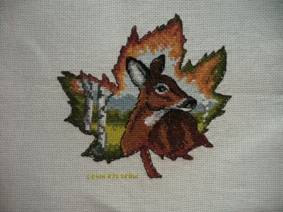 Kliknij aby zobaczy� pe�ny rozmiar