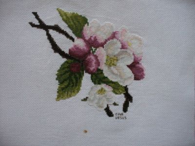 Kliknij aby zobaczy� pe�ny rozmiar