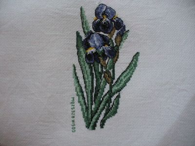 Kliknij aby zobaczy� pe�ny rozmiar