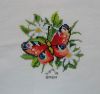 46- motyl.jpg