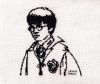 Hary poter.jpg