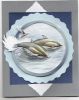 delfin2.jpg