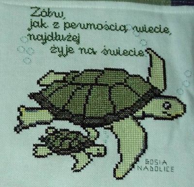 Kliknij aby zobaczy peny rozmiar