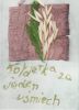 379 kol 437 dla Pauliny.jpg