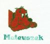 mateuszek.jpg