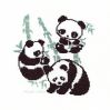 Kz - Pandy 3.jpg