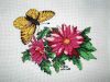 motyl.jpg