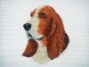 basset.jpg