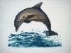 delfin.jpg
