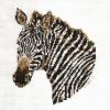 zebra.jpg
