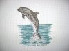 Delfin 003.jpg