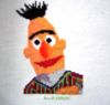 Bert dla Kamila koderka nr 545.JPG