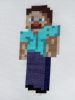 minecraft (450 x 600)~0.jpg