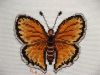 motyl dla Dominiczki (600 x 450).jpg
