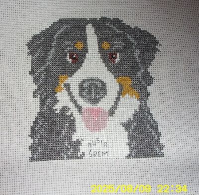 Kliknij aby zobaczy� pe�ny rozmiar