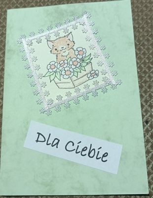 Kliknij aby zobaczy peny rozmiar