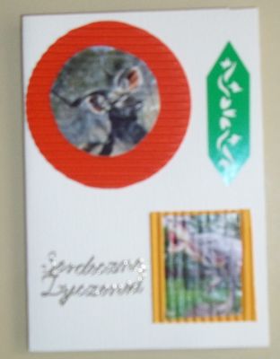 Kliknij aby zobaczy peny rozmiar