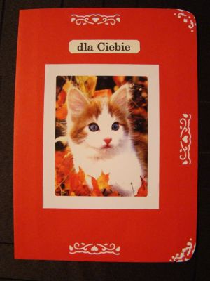 Kliknij aby zobaczy peny rozmiar