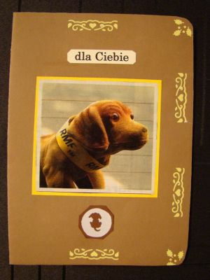 Kliknij aby zobaczy peny rozmiar