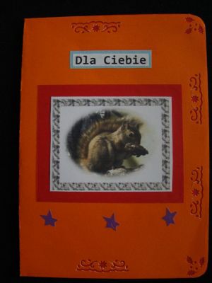 Kliknij aby zobaczy peny rozmiar