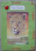 DSC07334.JPG
