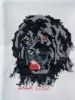 DSC00020.JPG