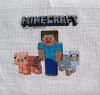 Minecraft4.jpg