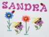 1174 Sandra.png