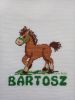 2046 Bartosz1.jpg