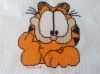 111 garfield.jpg