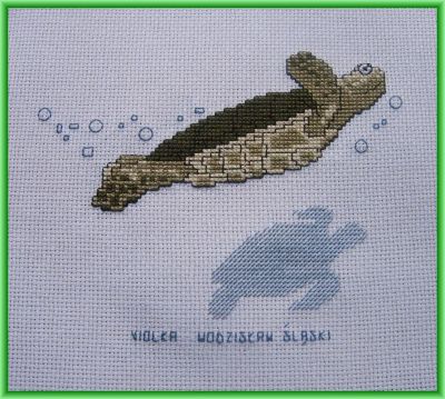 Kliknij aby zobaczy peny rozmiar