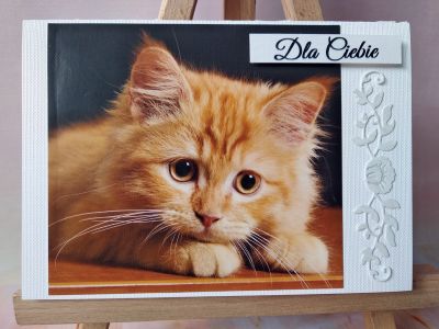 Kliknij aby zobaczy peny rozmiar