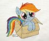 haft_pony_rainbow_dash.jpg