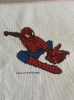spiderman1a.jpg