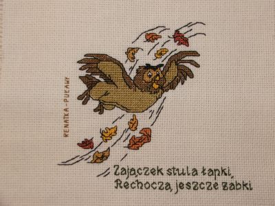 Kliknij aby zobaczy peny rozmiar