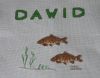 dawid1.jpg