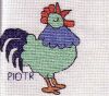 kogut_piotrek_gasior.JPG