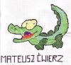 krokodyl mateusza.JPG