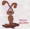 radek_zielinski.JPG